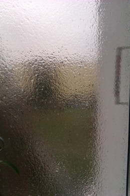IMAG0781.jpg